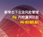 《新常态下企业风险管理与内控漏洞识别之策略精析》